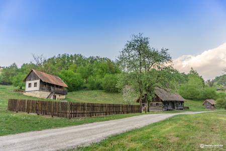 ZC6 foto Mario Skusek